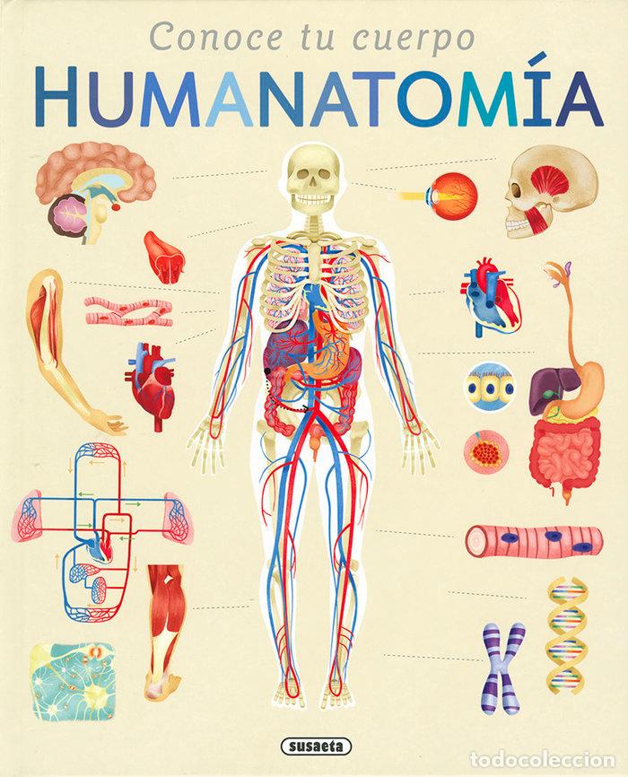 Livres: HUMANATOMIA - EDWARDS, NICOLA