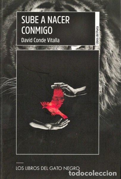 Livros: SUBE A NACER CONMIGO - CONDE VITALLA, DAVID