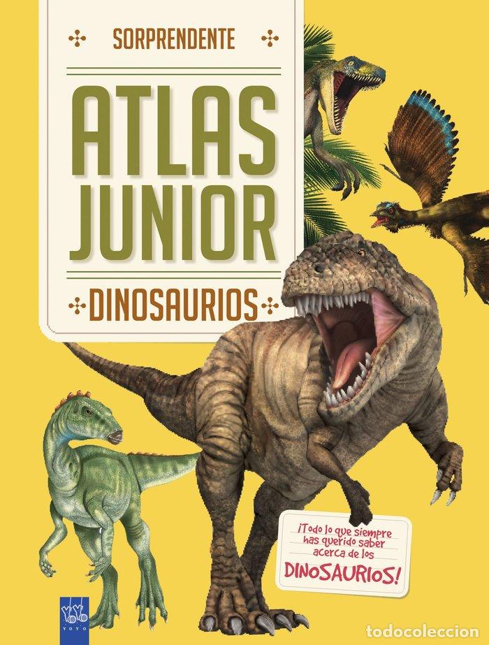 Libros: DINOSAURIOS - YOYO..