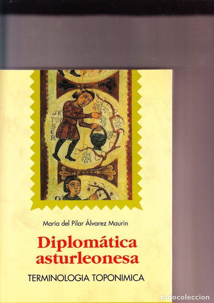 Libros: DIPLOMATICA ASTURLEONESA - ALVAREZ MAURIN, MARIA PILAR