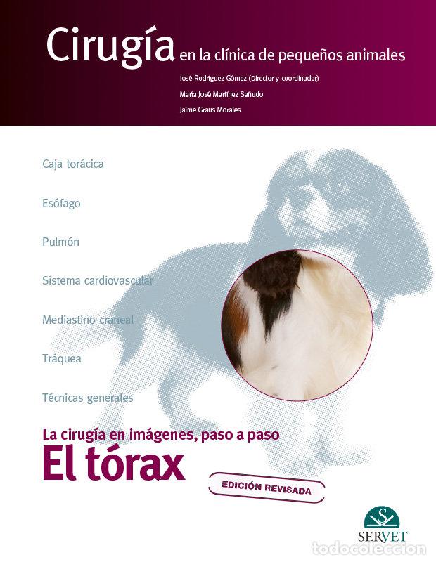 Libros: EL TORAX CIRUGIA EN LA CLINICA DE PEQUE&Ntilde;O - RODRIGUEZ GOMEZ, JOSE