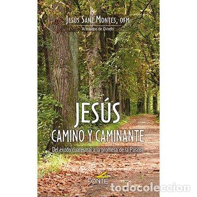 Libros: JESUS CAMINO Y CAMINANTE - SANZ MONTES, JESUS