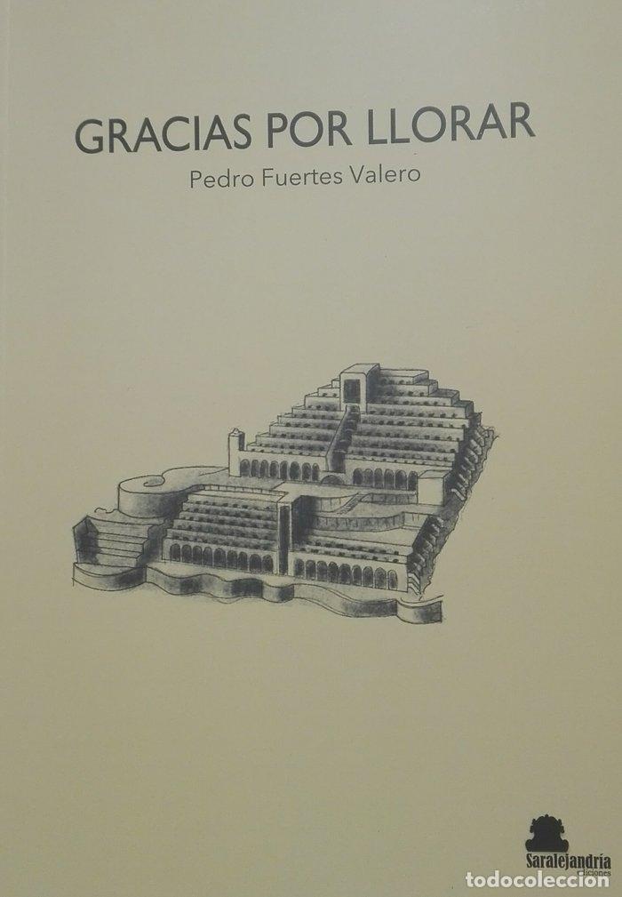 Libros: GRACIAS POR LLORAR - FUERTES VALERO, PEDRO