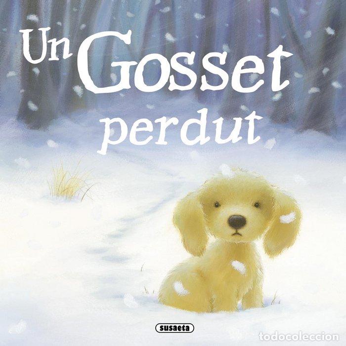 Libri: UN GOSSET PERDUT - JENNINGS, LINDA