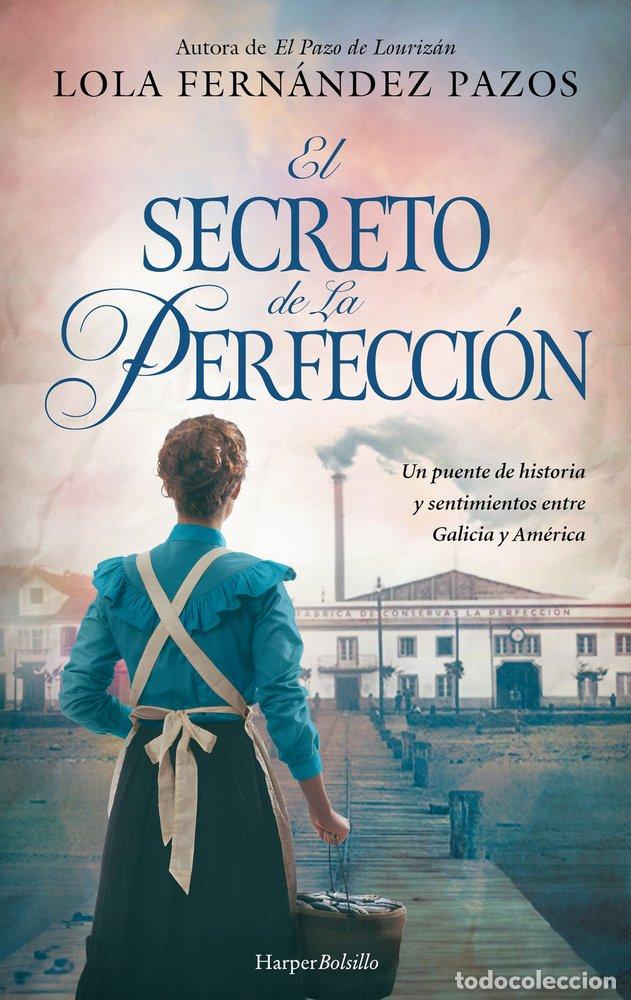 Libros: EL SECRETO DE LA PERFECCION - FERNANDEZ PAZOS, LOLA