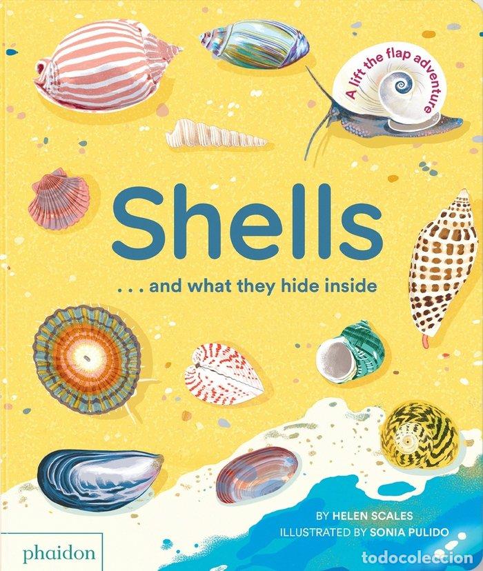 Libri: SHELLSAAND WHAT THEY HIDE INSIDE - PULIDO, SONIA