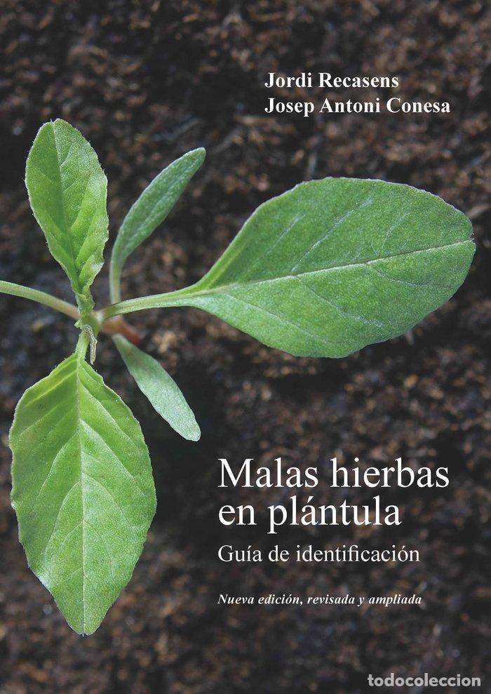 Libros: MALAS HIERBAS EN PLANTULA GUIA DE IDENTIFICACION - RECASENS, JORDI