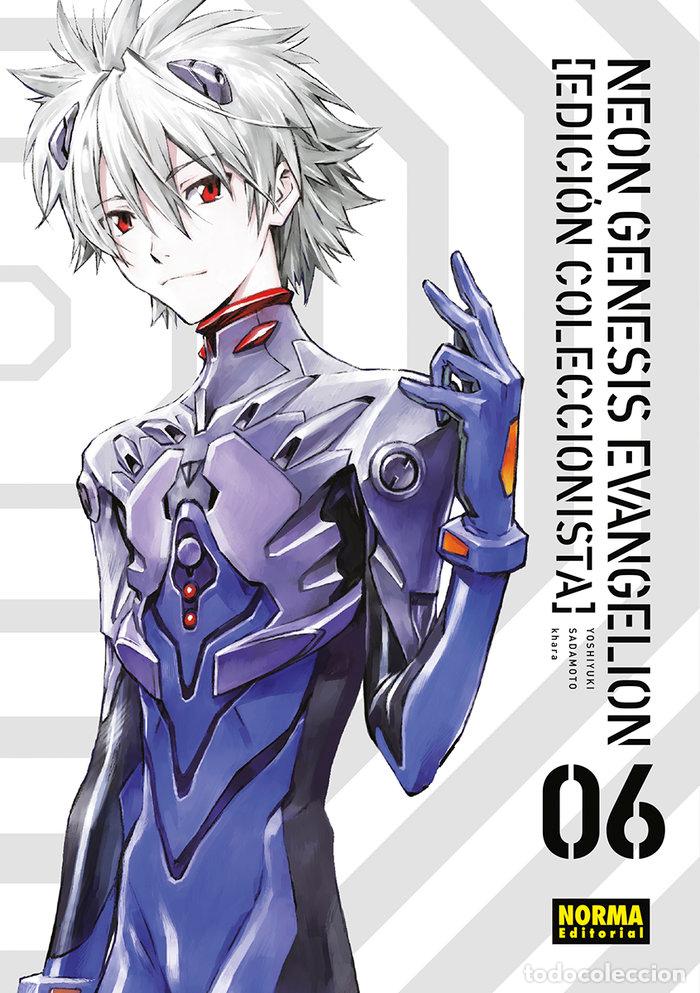 Libros: NEON GENESIS EVANGELION EDICION COLECCIONISTA 6 - SADAMOTO