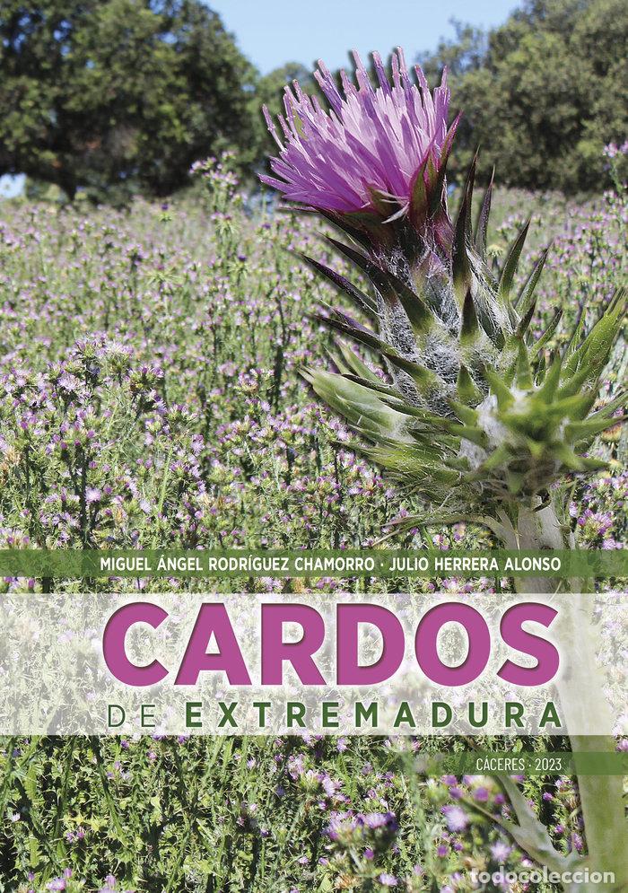 Libri: CARDOS DE EXTREMADURA - HERRERA ALONSO, JULIO