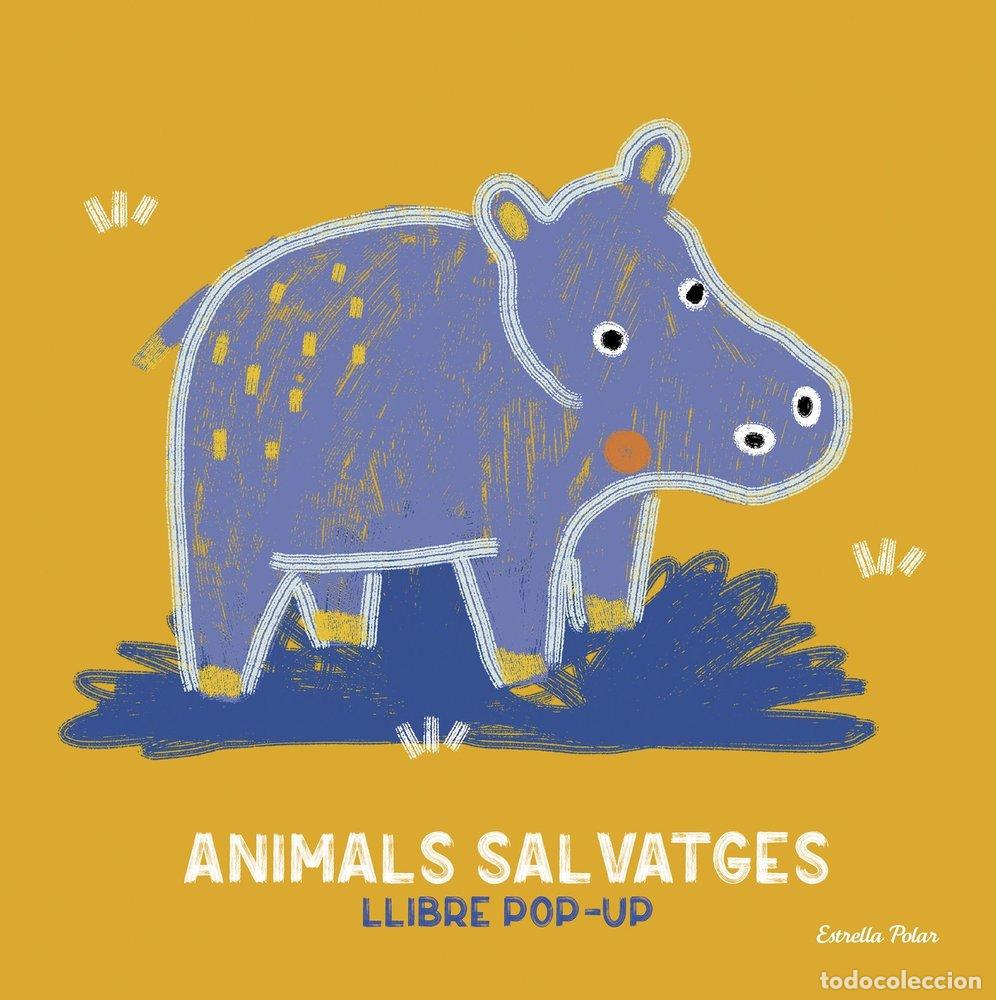 Libros: ANIMALS SALVATGES LLIBRE POP UP - CHAMBEL, ANA&Oslash;S