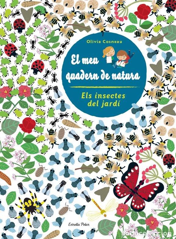 Libri: INSECTES. EL MEU QUADERN DE NATURA - DIVERSOS AUTORS