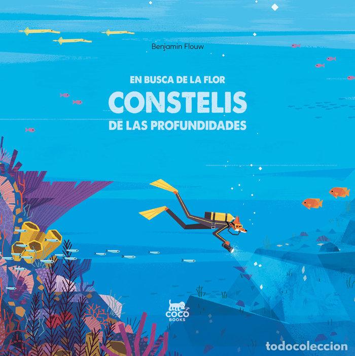 Libros: EN BUSCA DE LA FLOR CONSTELIS DE LAS PROFUNDIDADES - FLOUW, BENJAMIN