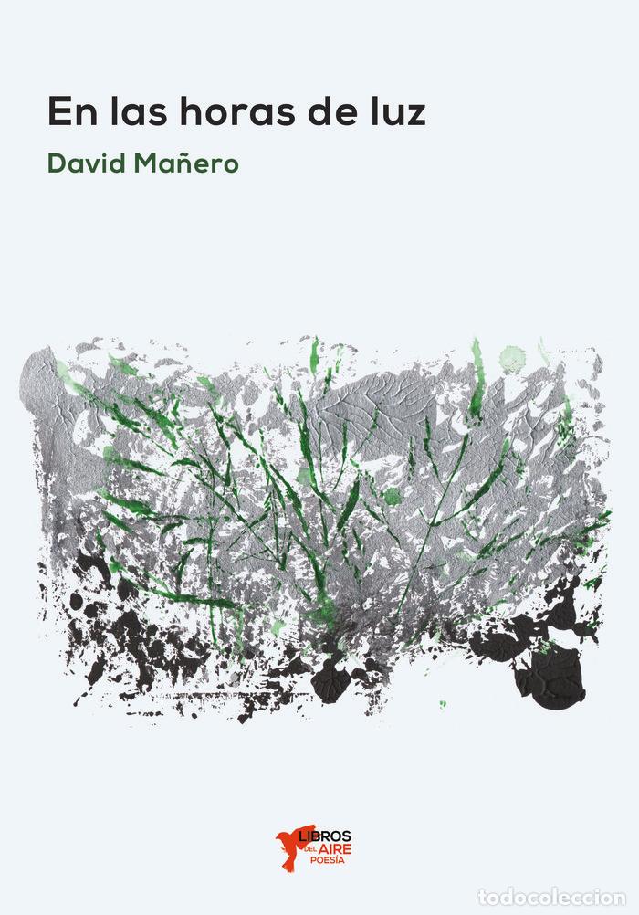 Libros: EN LAS HORAS DE LUZ - MA&Ntilde;ERO, DAVID