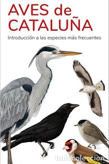 Libros: AVES DE CATALU&Ntilde;A GUIAS DESPLEGABLES TUNDRA - HERNANDEZ, VICTOR J