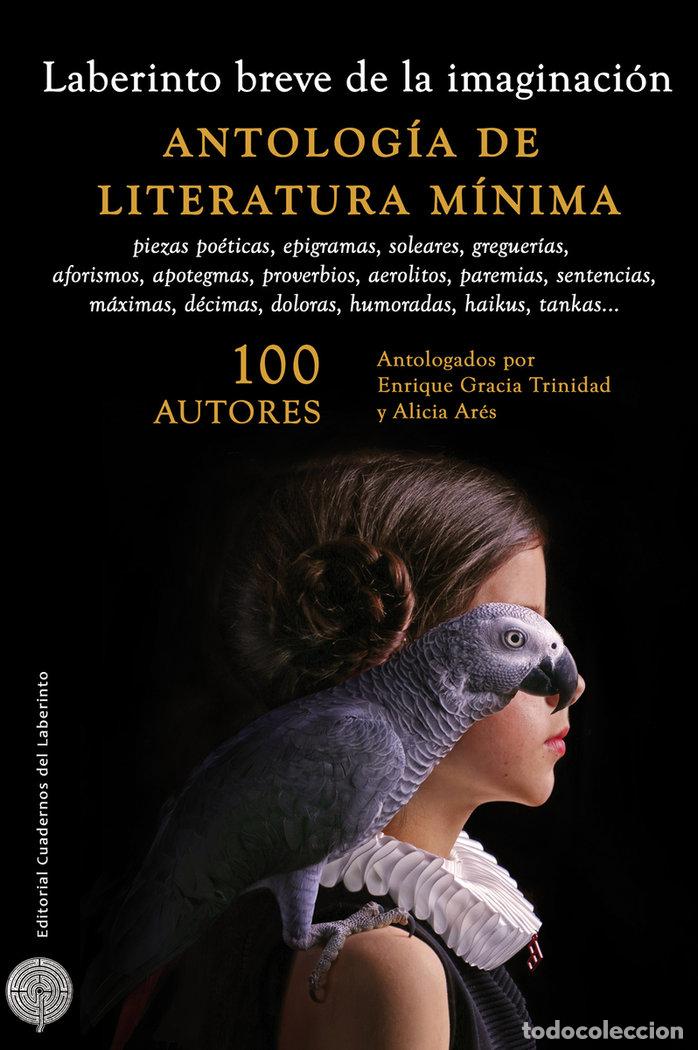 Libros: LABERINTO BREVE DE LA IMAGINACION - AA.VV