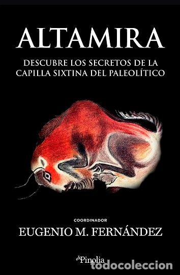 Libros: ARTE RUPESTE - FERNANDEZ, EUGENIO M