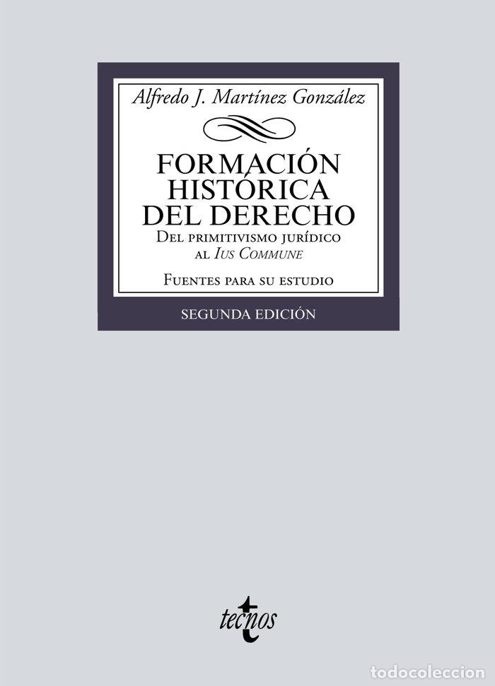 Livres: FORMACION HISTORICA DEL DERECHO - MARTINEZ GONZALEZ, ALFREDO JOSE