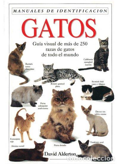 Libros: GATOS MANUAL IDENTIFICACION - ALDERTTON, D.