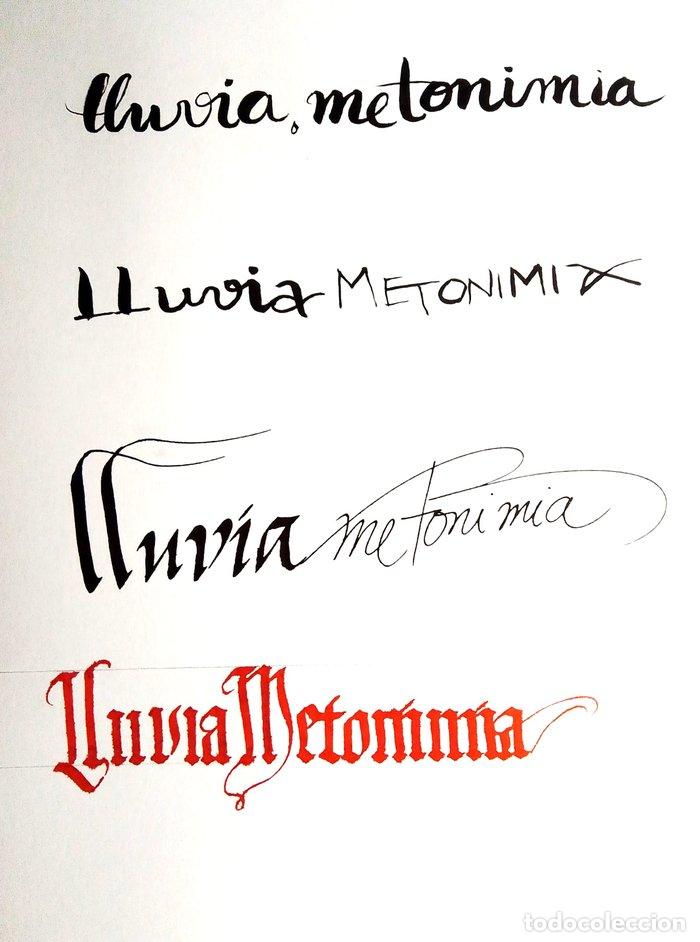 B&uuml;cher: LLUVIA METONIMIA - ANDUJAR, SONIA
