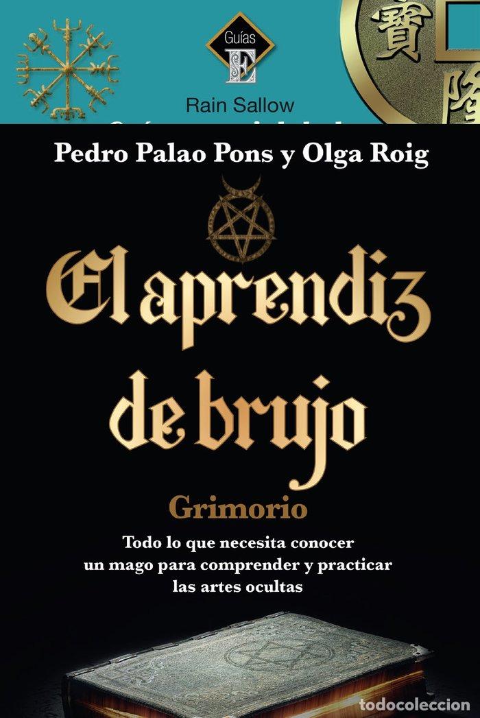 Libri: EL APRENDIZ DE BRUJO - PEDRO PALAO PONS