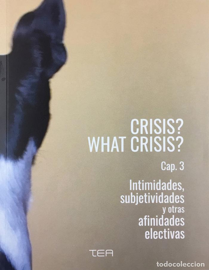 Libros: CRISIS WHAT CRISIS CAP 3 INTIMIDADES SUBJETIVIDADES Y - LEMES