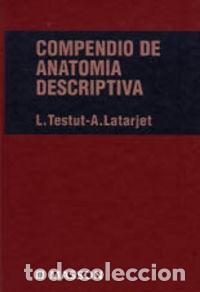Livros: COMPENDIO DE ANATOMIA DESCRIPTIVA - TESTUT, LEO