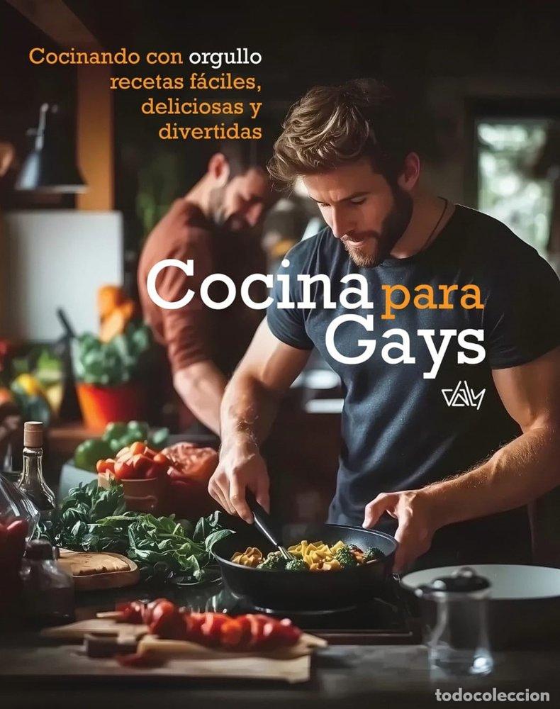 Libri: COCINA PARA GAYS - DALY, EDICIONES