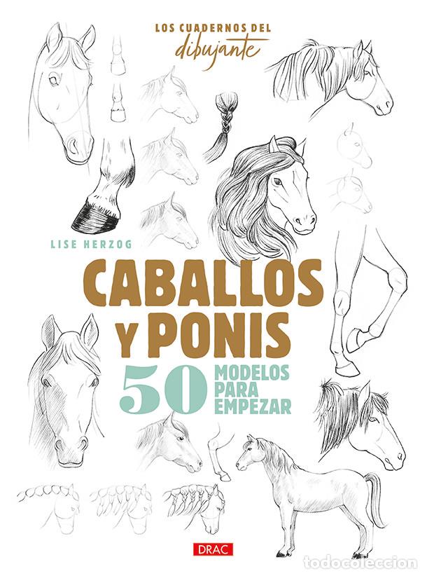 Libros: LOS CUADERNOS DEL DIBUJANTE CABALLOS Y PONIS - HERZOG, LISE