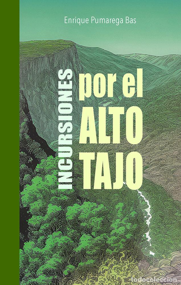 Livres: INCURSIONES POR EL ALTO - PUMAREGA BAS, ENRIQUE