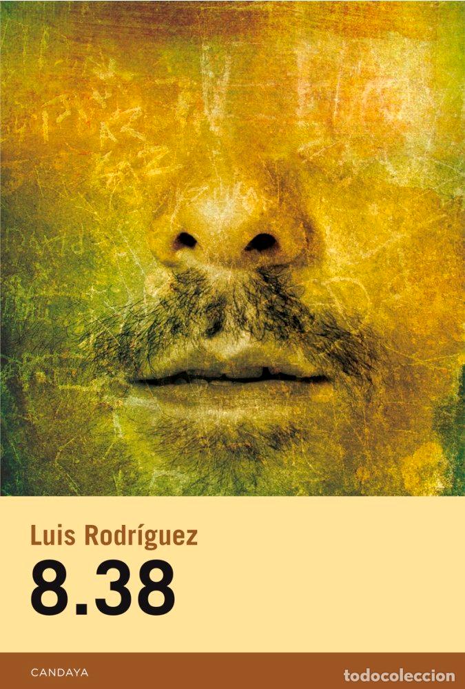 B&uuml;cher: 8.38 - RODRIGUEZ RODRIGUEZ, LUIS