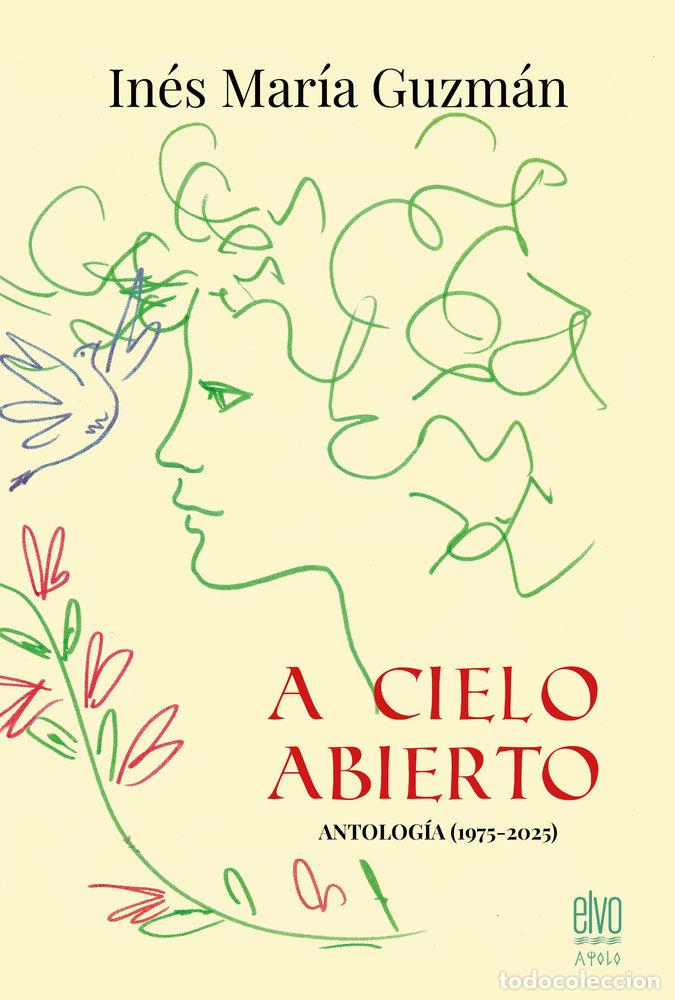 Libros: A CIELO ABIERTO - GUZMAN, INES MARIA