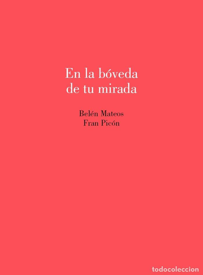 Libros: EN LA BOVEDA DE TU MIRADA - MATEOS, BELEN