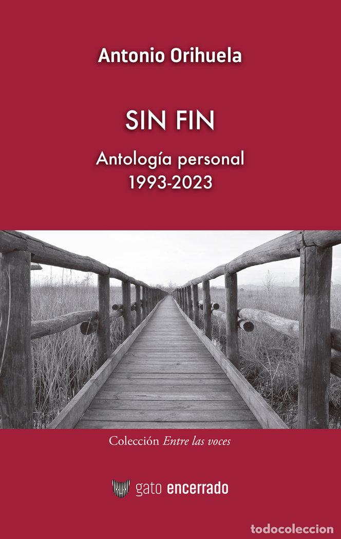 Libros: SIN FIN - ORIHUELA, ANTONIO