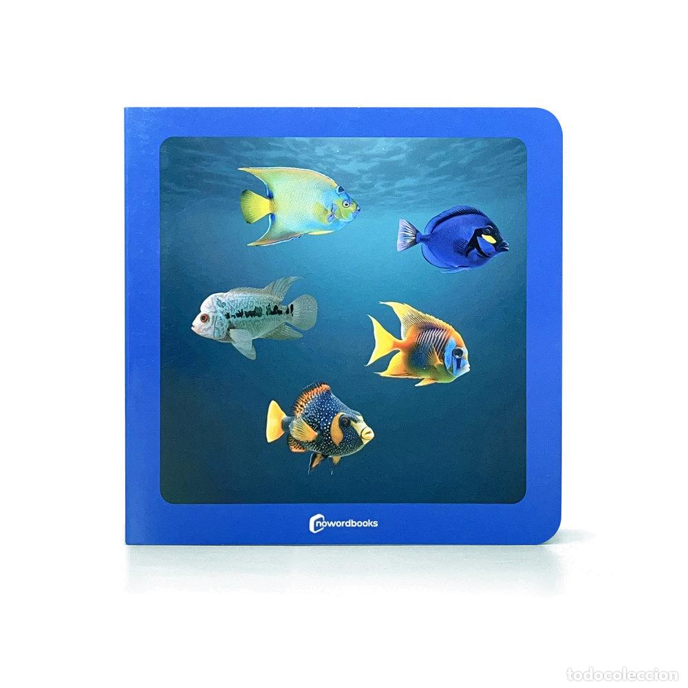 Libri: &iquest;DONDE ESTAN LOS PECES? - Espanol/Castellano
