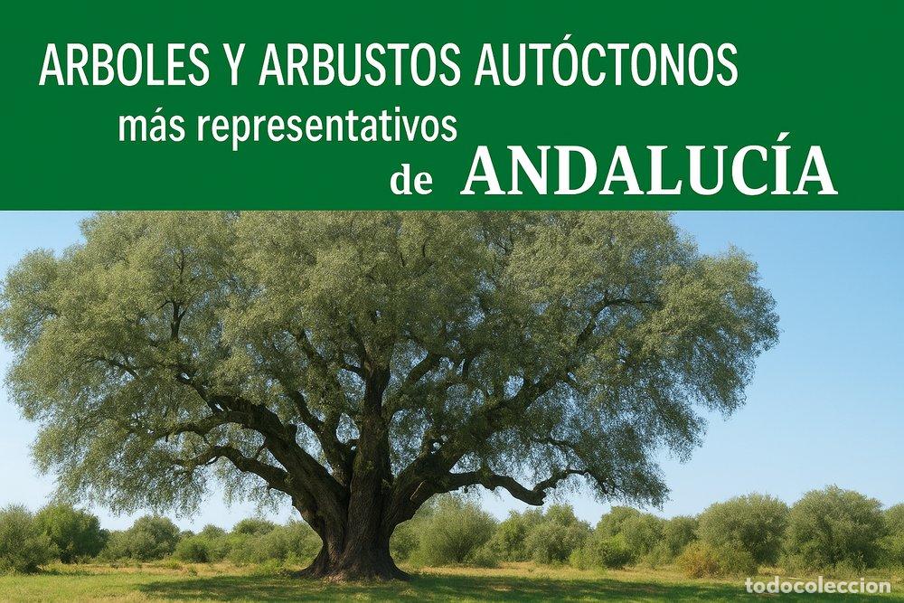 Libri: ARBOLES Y ARBUSTOS AUTOCTONOS MAS REPRESENTATIVOS DE ANDALU - SANCHEZ SANCHEZ-CA&Ntilde;ETE, FRANCISCO JAVI