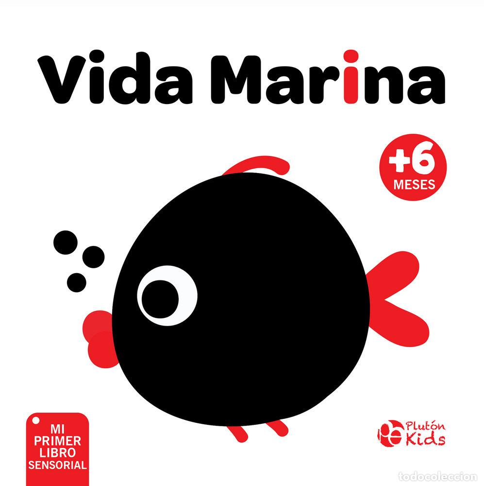 Libri: VIDA MARINA - AA.VV.