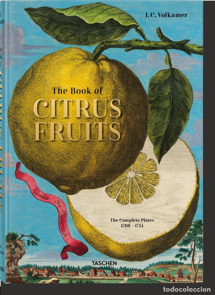 books: BOOK OF CITRUS,THE - LAUTERBACH, IRIS