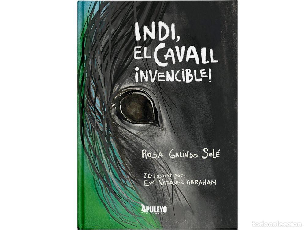 Libri: INDI EL CAVALL INVENCIBLE - GALINDO SOLE, ROSA