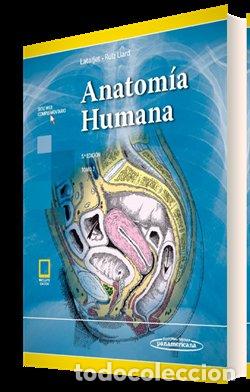 B&uuml;cher: LATARJET ANATOMIA HUMANA 5ED T2 E - LATARJET
