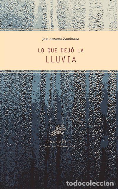 Libros: LO QUE DEJO LA LLUVIA - ZAMBRANO, JOS&Eacute; ANTONIO