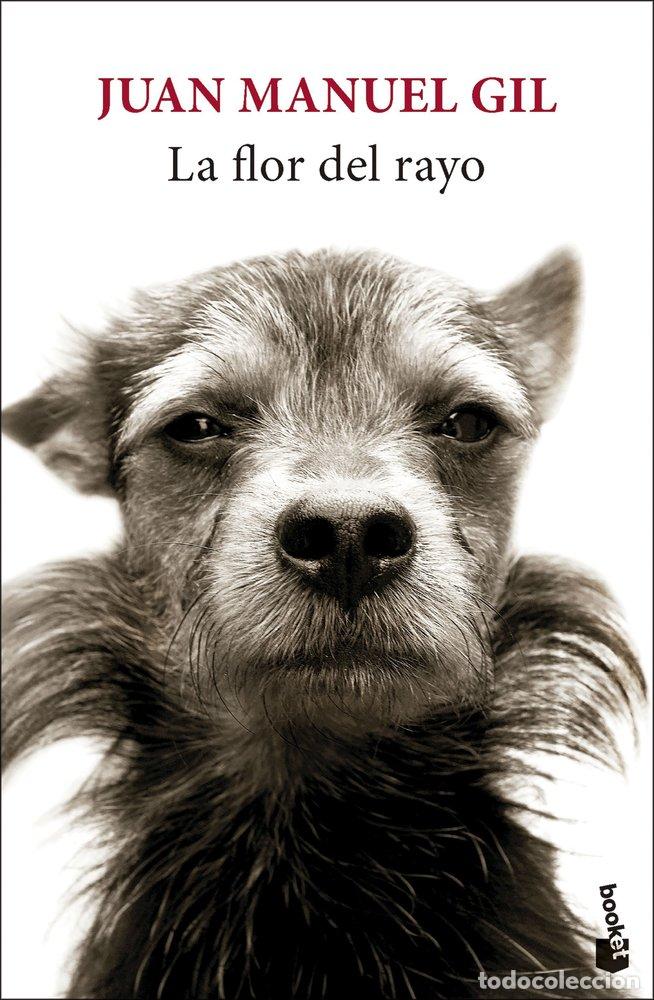 Libri: LA FLOR DEL RAYO - JUAN MANUEL GIL