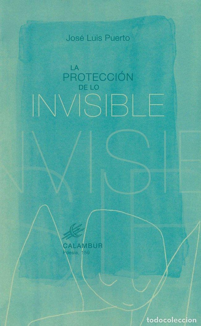 Libri: PROTECCION DE LO INVISIBLE - PUERTO, JOSE LUIS