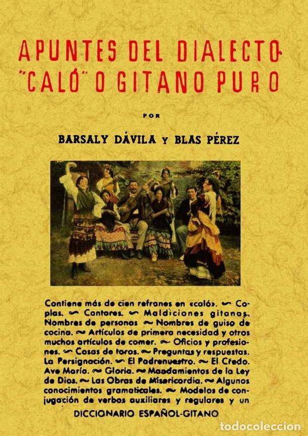 Libros: APUNTES DEL DIALECTO CALO - DAVILA BARSALY Y PEREZ, BLAS
