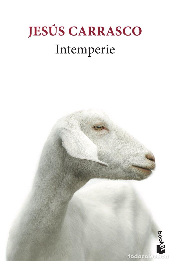 Libros: INTEMPERIE - JESUS CARRASCO