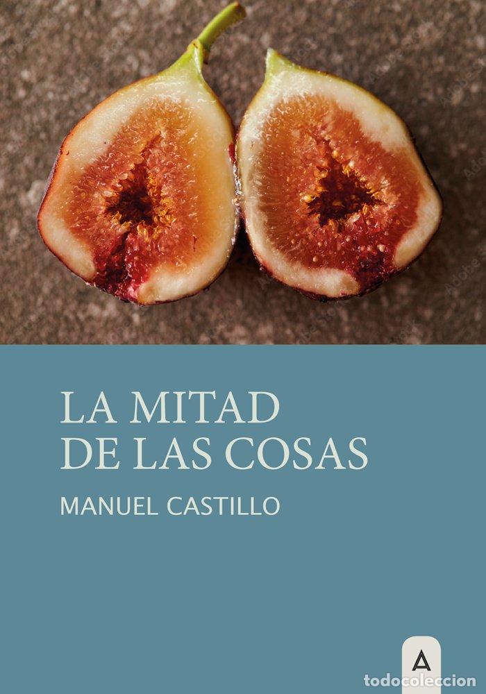 Libros: LA MITAD DE LAS COSAS - MANUEL CASTILLO