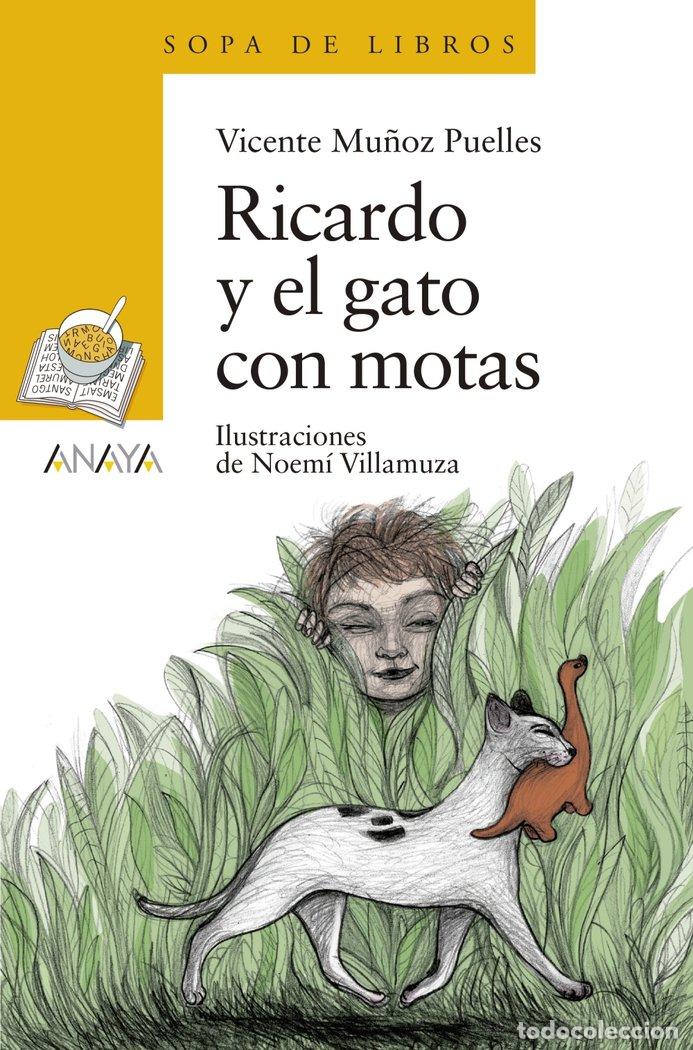Libros: RICARDO Y EL GATO CON MOTAS - MU&Ntilde;OZ PUELLES, VICENTE