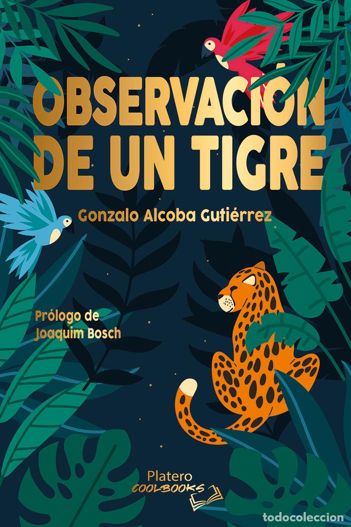 Libri: OBSERVACION DE UN TIGRE - ALCOBA GUTIERREZ, GONZALO