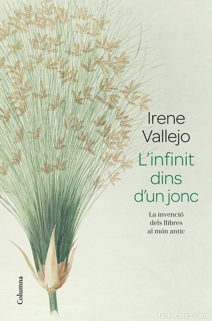 Livros: LINFINIT DINS DUN JONC - VALLEJO, IRENE