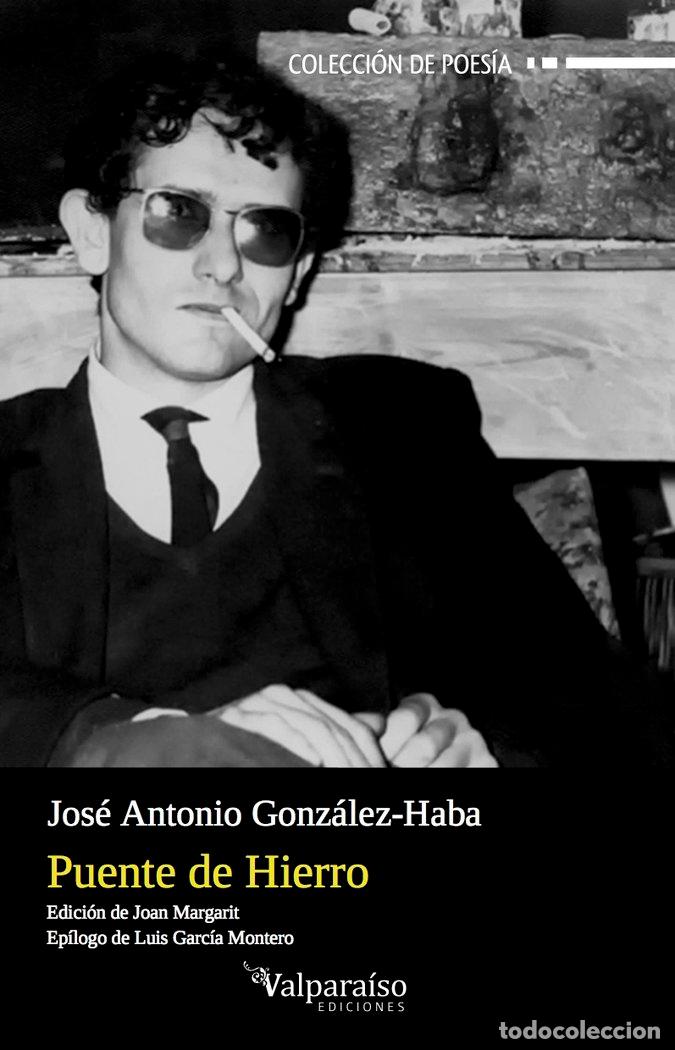 Libri: PUENTE DE HIERRO - GONZALEZ HABA GUISADO, JOSE ANTONIO