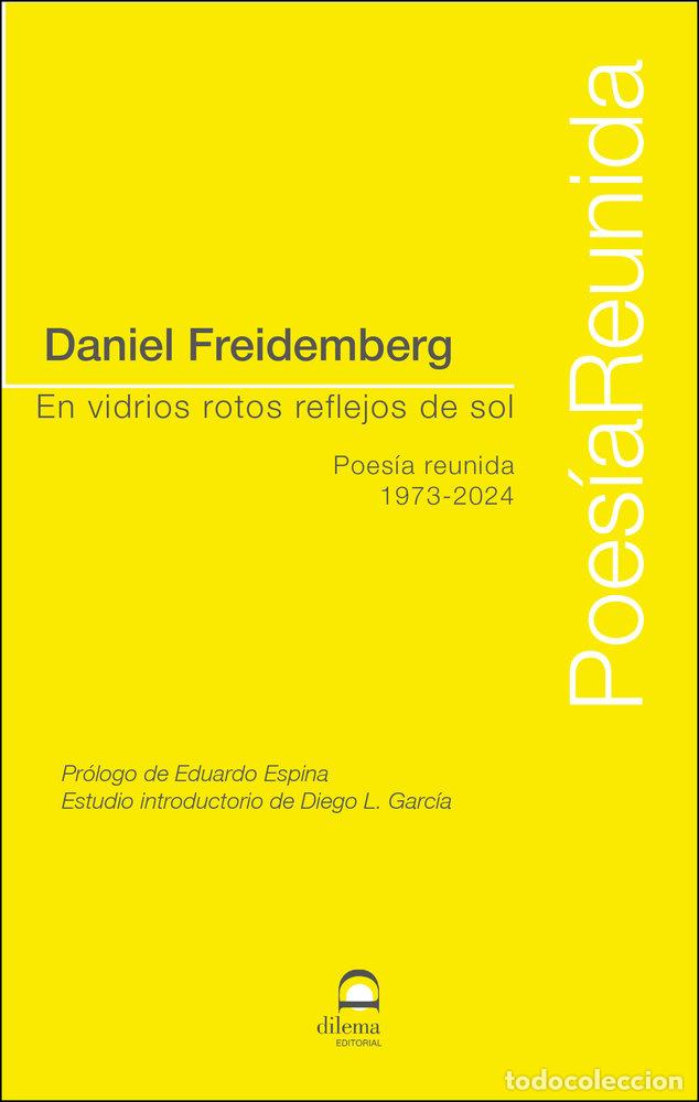 Libri: EN VIDRIOS ROTOS REFLEJOS DE SOL - FREIDEMBERG, DANIEL